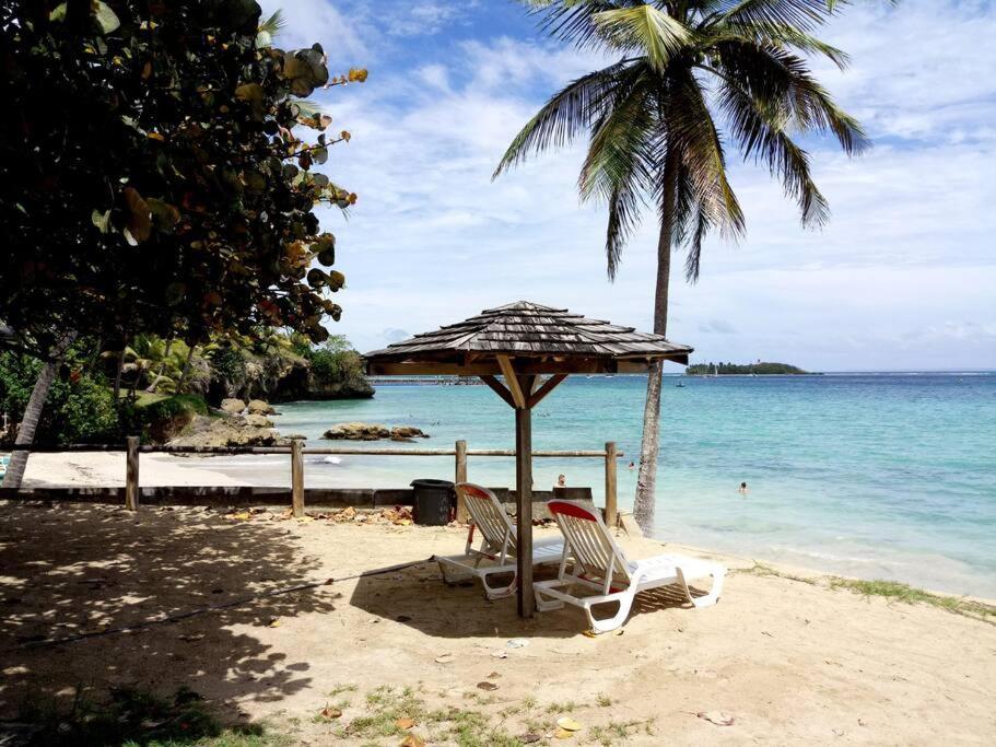 F1 Vue Mer, Acces Plage, En Centre-Ville Le Gosier  Εξωτερικό φωτογραφία