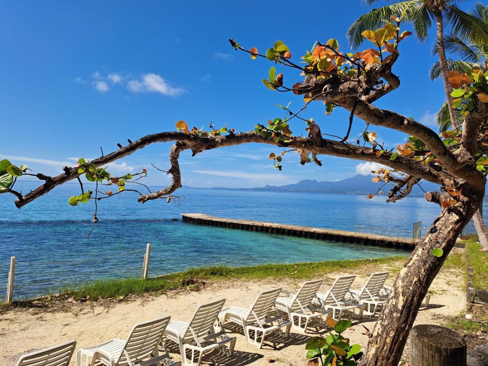 F1 Vue Mer, Acces Plage, En Centre-Ville Le Gosier  Εξωτερικό φωτογραφία